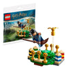Image of LEGO 30651 Zwerkbal Training (Polybag)